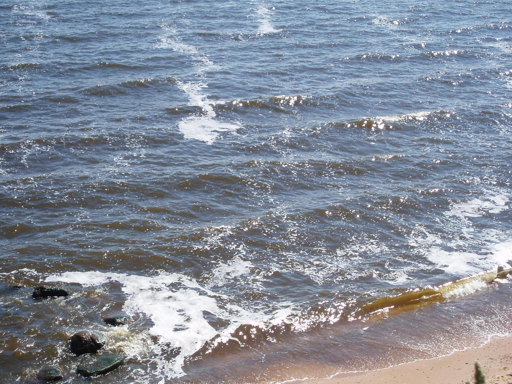 Anna Bed & Breakfast Kallaste  Esterno foto
